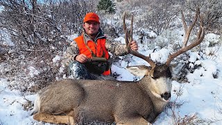 GIANT Public Land Colorado MULE DEER Catch Clean Cook [upl. by Weinhardt]