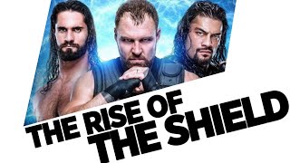 The Rise Of The Shield 20122016  The Best Ever [upl. by Yborian33]