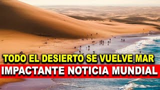 Noticia Mundial Todo el Desierto se Convierte en Mar en solo 1 minuto Impactante [upl. by Aicak]