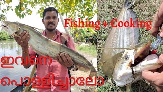 നാടൻ വാള പിടിച്ചു വറുത്ത് പൊള്ളിച്ചത്Wallago attu Fishing and Cooking Kerala [upl. by Nivlad]