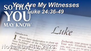 November 19 Sermon You Are My Witnesses Luke 243649 [upl. by Tenneb277]