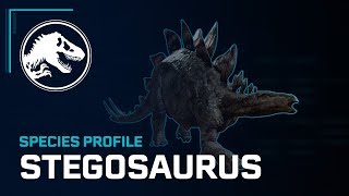 Species Profile  Stegosaurus [upl. by Lehet]