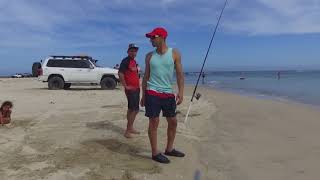 Kurnell Drone Fishing 04 [upl. by Gorton]