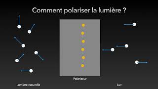 Introduction à la polarisation [upl. by Hanfurd]