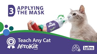 Teach Any Cat AeroKat  3 Applying the Mask [upl. by Nalhsa]