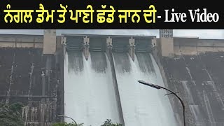 Water Release From Bhakra Dam at Nangal  Live Video [upl. by Laucsap]