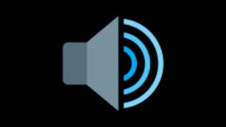 Airplane Sound Effect HD [upl. by Hnao]