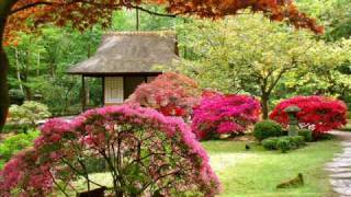 Japanese Gardens and Japanese Music [upl. by Utham]