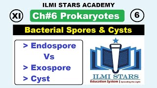 Bacterial Spores  Endospores and Expospores and Cysts Class 11 Biology Chapter 6 Prokaryotes [upl. by Yeldoow]