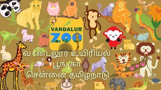 vandalur zoo liveVandalur ZoochennaiTamil Naduarignar anna zoological parkchennai zoo park [upl. by Laris128]