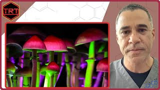 Psychedelics and Testosterone Replacement Therapy TRT [upl. by Thetisa852]