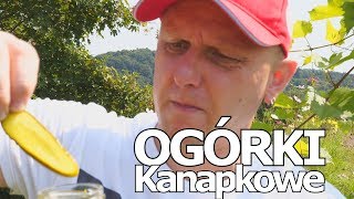 OGÓRKI KANAPKOWE z Curry ¦ ROBIMY KUCHNIĘ [upl. by Cralg474]