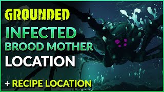 Grounded Infected Broodmother Location and Moldy Hoagie Recipe Location [upl. by Harlamert]