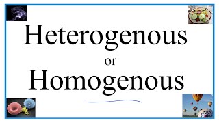 Heterogenous vs Homogenous Definitions Examples amp Practice [upl. by Fillender451]