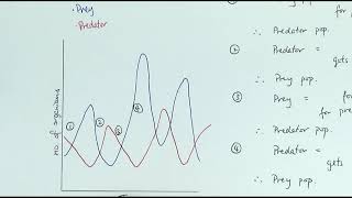 A2 Biology  Predatorprey relationship OCR A Chapter 243 [upl. by Stokes]