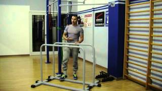 Trazioni Orizzontali Imp Inv Calisthenics [upl. by Riggs257]