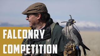 The Ultimate Falconry Competition [upl. by Danete]