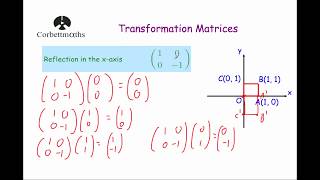 Function Transformations Reflections Across the xaxis and yaxis [upl. by Hgalehs]