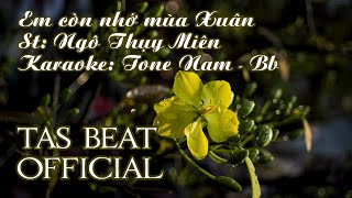 Karaoke Em còn nhớ mùa Xuân  Tone Nam  TAS BEAT [upl. by Dorelia]