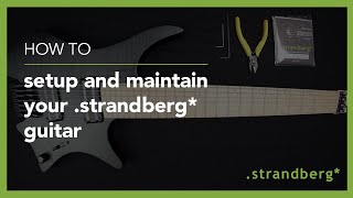 strandberg Setup amp Maintenance  How to setup and maintain your strandberg guitar [upl. by Lonyer]