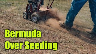 Over Seeding Bermuda Lawn [upl. by Riggs]