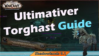 WoW Shadowlands Ultimativer 91 Torghast Guide Deutsch  Erfolge  Mount  Transmog  Punktesystem [upl. by Ynaffik]