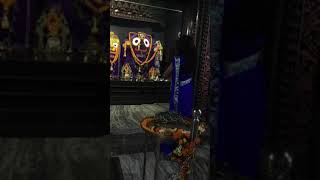 Archita Sahu at Lord Jagannath temple [upl. by Eolhc]