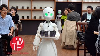 A PopUp Japanese Cafe With Robot Servers Remotely Controlled by People With Disabilities [upl. by Glad]