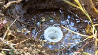 how to fix a broken pvc sprinkler fitting  riser wout digging it out and making a huge mess [upl. by Witha418]