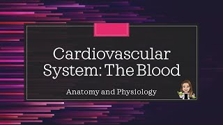 Anatomy and Physiology Cardiovascular System  The Blood [upl. by Acessej]