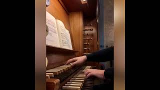 Johann Sebastian Bach 16851750  O Haupt voll Blut und Wunden  BWV 727  Andreas Lapp Orgel [upl. by Monia]