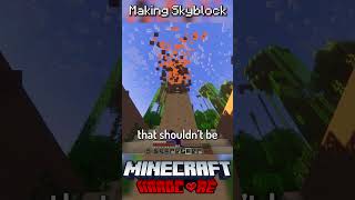 I Made Skyblock in Minecraft Hardcore 13 [upl. by Edison]