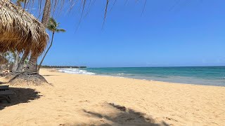 Excellence Punta Cana Luxury Resort where excellence meets paradise [upl. by Eiramnaej380]