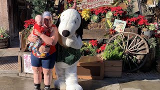 2019 January 3 Knott’s Berry Farm in California [upl. by Eelanej]