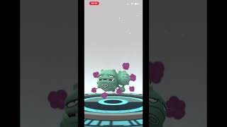 Evolving Koffing Shiny to Weezing Shiny  Pokémon Go [upl. by Erreit]