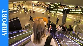 FLIGHT TRANSFER AT DOHA Airport Hamad International Airport  How to walk to a connection flight [upl. by Fenny]