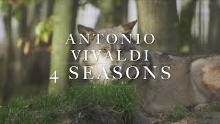 Vivaldi  4 Seasons full  Вивальди  4 сезона  Времена года полностью [upl. by Hanad]