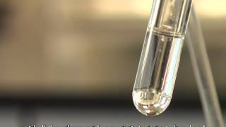 Using Tollens Reagent to Test for Aldehydes Silver Mirror Test [upl. by Porter]