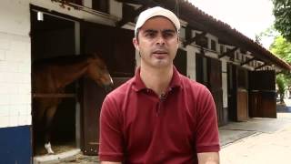 Rodrigo Pessoa critica sede do hipismo para 2016 [upl. by Kelley]