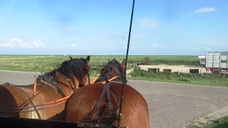 Kutschfahrt auf Hallig Hooge [upl. by Noired830]