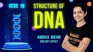 Structure of Chromosome  Structure Of DNA  ICSE Class 10 Biology  Cell Cycle and Cell Division [upl. by Thisbe]