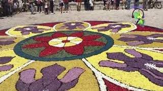 A Pescasseroli processione dell’Infiorata del Corpus Domini  196 2022 [upl. by Adidnere]