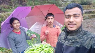 ऐसी बारिश और ठंड में सब्जी निकालनी पड़ी  Pahadi Lifestyle  Namaste Pahad  Ashutosh Negi [upl. by Leon]