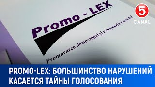 Promo Lex quotБольшинство нарушений касаются тайны голосованияquot [upl. by Sucramat]