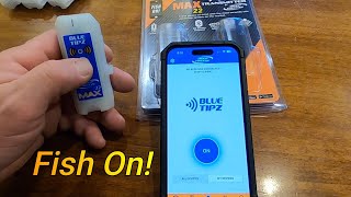 Blue Tipz fishing transmitter on Jack Traps tip ups [upl. by Obidiah627]