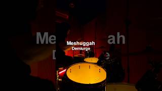 Meshuggah  Demiurge Drum Cover  Drummer Tomas Haake [upl. by Deane]