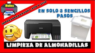 😱 Cambio Limpieza de Almohadillas 🖨️ Impresoras Epson L1250 L3110 L3150 L3160 L3210 L3250 L3251 3260 [upl. by Ynehteb848]