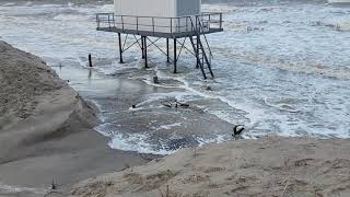 2019 Sturm Zeetje Insel Usedom Ostsee Zinnowitz Zempin Koserow Sturmflut [upl. by Stacy]