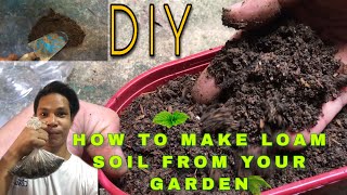 HOW TO MAKE LOAM SOIL DIY  SIMPLE HACK FOR YOUR PLANTS  Plantitos  Plantitas [upl. by Russ]