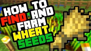 How to Find Wheat Seeds in Minecraft Survival 2019 And Farm Them [upl. by Avle]